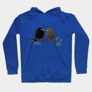 A couple of egg shaped blackbirds Hoodie